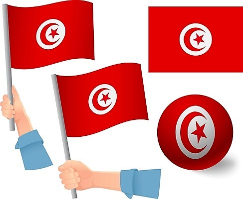 EPS 해외이미지 모양 손 물결 여행 컨셉 일러스트 공 그래픽 세트 축제 자유 축하 깃발 잡기 작음 심볼 사인 애국심 고립 독립 전국 튀니지 해외일러스트 모션 아프리카 신체부위 크기 파일형식 벡터 이미지허브