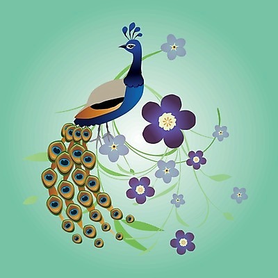 EPS 해외이미지 동물 남자 날개 일러스트 조류 장식 반짝임 컬러풀 공작 깃털 꼬리 단아함 해외일러스트 컬러 모션 사람 파일형식 벡터 이미지허브