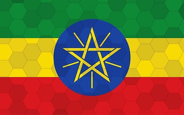 EPS 해외이미지 디자인 배너 별 문화 여행 백그라운드 일러스트 추상 미래 그래픽 빨간색 초록색 노란색 줄무늬 손상 깃발 심볼 사인 그림 육각형 직사각형 애국심 벌집 고립 독립 에티오피아 전국 해외일러스트 자연요소 도형 컬러 컨셉 무늬 아프리카 파일형식 벡터 이미지허브