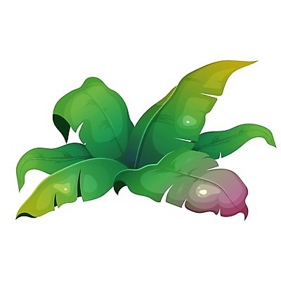 EPS 해외이미지 잎 일러스트 사람없음 초록색 열대식물 해외일러스트 식물 컬러 파일형식 벡터 이미지허브