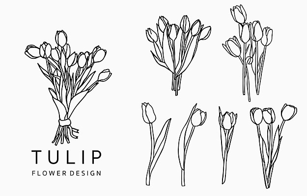 EPS 해외이미지 꽃 줄기 꽃다발 잎 라인일러스트 일러스트 사람없음 세트 튤립 심볼 라인아트 해외일러스트 식물 선 파일형식 벡터 이미지허브