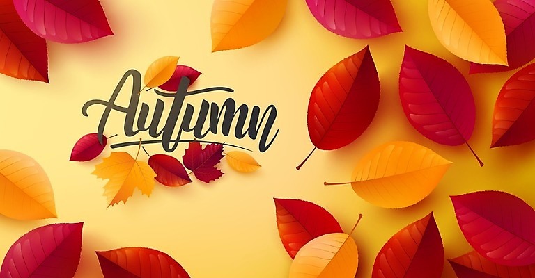 EPS 해외이미지 식물 템플릿 배너 계절 포스터 리플렛 백그라운드 단풍 잎 꽃무늬 패턴 오렌지 일러스트 캘리그라피 휴가 프레임 건조 장식 빨간색 컬러풀 갈색 노란색 세일 쌓기 가을 황금 9월 11월 질감 레이아웃 초대 주말 추수감사절 10월 레터링 해외일러스트 꽃 기독교 컬러 무늬 과일 모션 날짜 파일형식 벡터 이미지허브