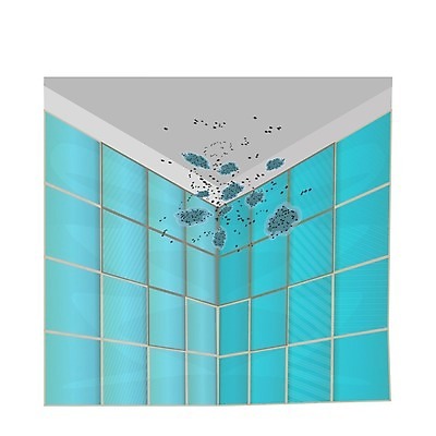 EPS 해외이미지 벽 백그라운드 컨셉 일러스트 가정 표면 주택 실내 건강 이끼 내부 주방 촉촉함 욕실 흰색 물방울 점 얼룩 호흡기관 플랫 모서리 위험 수분 만화 타일 천장 먼지 진흙 문제 박테리아 나쁜 고립 곰팡이 해외일러스트 컬러 의학 건물 젖음 장기_의학 파일형식 벡터 이미지허브