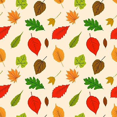 EPS 해외이미지 식물 디자인 계절 백그라운드 단풍 잎 패턴 오렌지 일러스트 자연 벽지 추상 미술 빨간색 노란색 가을 흰색 직물 질감 내추럴 해외일러스트 컬러 무늬 과일 문화예술 생태계 파일형식 벡터 이미지허브