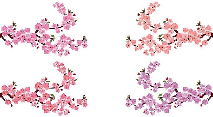 EPS 해외이미지 나무 전통 디자인 계절 꽃잎 꽃 아시아 문화 분홍색 결혼 백그라운드 잎 꽃무늬 일러스트 자연 세포 장식 일본 중국 일몰 봄 벚꽃 흰색 나뭇가지 축하 신용카드 투명 체리 심볼 오브젝트 체크무늬 동쪽 고립 엘리먼트 이국적 현실 해외일러스트 식물 나라 컬러 컨셉 무늬 과일 이벤트 금융 노을 방향 생태계 파일형식 벡터 이미지허브