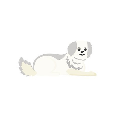 EPS 해외이미지 클립아트 동물 캐릭터 디자인 행복 포즈 백그라운드 일러스트 포유류 미소 그래픽 반려동물 상점 웹 가축 흰색 플랫 개 강아지 작음 만화 테리어 서비스 애니메이션 수의사 송곳니 거짓말 고립 기르기 동반자 마스코트 유래 입양 해외일러스트 일러캐릭터 감정 컬러 인터넷 표정 의사 치아 크기 돌봄 파일형식 벡터 이미지허브