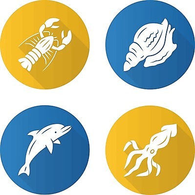 EPS 해외이미지 클립아트 동물 디자인 야생동물 음식 바다 컨셉 일러스트 포유류 자연 생물 연체동물 어류 물 세트 픽토그램 세계 식당 바닷속 수중 수영 웹 플랫 심볼 해산물 돌고래 사인 메뉴 오징어 생물학 팩 수족관 동물상 상형문자 항목 해외일러스트 자연요소 문자 교육 인터넷 무척추동물 조형물 상점 수중동물 화장품 수상스포츠 생태계 파일형식 벡터 이미지허브