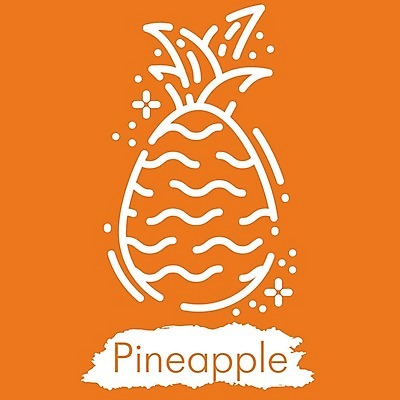 EPS 해외이미지 디자인 계절 선 모래 파도 바다 섬 여행 일러스트 휴가 휴식 미술 취미 해변 야외 그래픽 수확 뜨거움 화려 낙서 스케치 심볼 파인애플 오브젝트 사인 그림 윤곽 고립 엘리먼트 스타일 해외일러스트 컨셉 농업 과일 문화예술 열대과일 파일형식 벡터 이미지허브