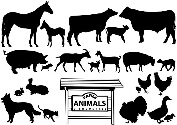 EPS 해외이미지 동물 잡화 실루엣 음식 농업 일러스트 비즈니스 염소 오리 육류 농장 검은색 고양이 치킨 가축 시골 토끼 양 돼지 소 개 심볼 사인 황소 거위 양고기 칠면조 수탉 망아지 송아지 고립 암탉 해외일러스트 산업 새끼 컬러 식재료 포유류 조류 촬영기법 반려동물 닭 말_동물 암컷 수컷 닭고기요리 파일형식 벡터 이미지허브