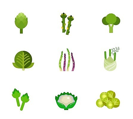 EPS 해외이미지 잎 채소 일러스트 사람없음 초록색 여러개 브로콜리 양배추 아스파라거스 방울양배추 아티초크 컬리플라워 펜넬 해외일러스트 식물 컬러 다수 파일형식 벡터 이미지허브