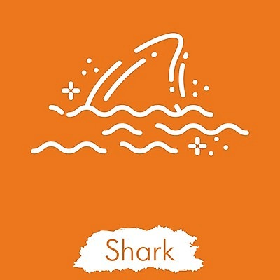 EPS 해외이미지 디자인 계절 선 모래 파도 바다 섬 여행 일러스트 휴가 휴식 미술 취미 해변 야외 그래픽 수확 뜨거움 화려 낙서 스케치 심볼 오브젝트 사인 그림 윤곽 상어 고립 엘리먼트 스타일 해외일러스트 컨셉 농업 문화예술 어류 파일형식 벡터 이미지허브