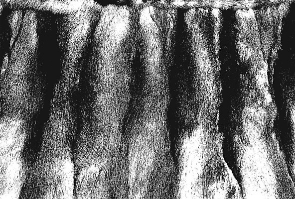 EPS 해외이미지 동물 드레스 벽 백그라운드 패턴 일러스트 벽지 표면 날씨 추상 코끼리 털 검은색 손상 고통 수확 흰색 직물 거친 호랑이 균열 인쇄 가죽 기린 피부 분필 질감 복고 육식동물 먼지 덮기 얼룩말 스크래치 표범 내추럴 그런지 깨짐 옛날 울퉁불퉁 효과 해외일러스트 옷 감정 컬러 컨셉 무늬 농업 포유류 모션 신체부위 말_동물 초크 파일형식 벡터 이미지허브