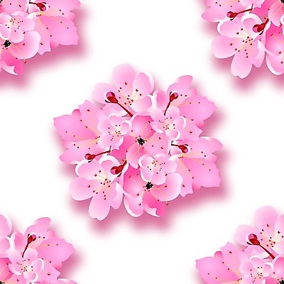 EPS 해외이미지 나무 템플릿 디자인 꽃잎 꽃 포스터 아시아 분홍색 꽃다발 결혼 백그라운드 꽃무늬 일러스트 자연 결혼식 발렌타인데이 그림자 장식 여름 정원 일본 중국 봄 벚꽃 흰색 나뭇가지 하트 축하 신용카드 체리 심볼 오브젝트 초대 동쪽 고립 엘리먼트 이국적 현실 해외일러스트 모양 식물 계절 나라 컬러 컨셉 무늬 과일 데이이벤트 이벤트 금융 방향 생태계 파일형식 벡터 이미지허브