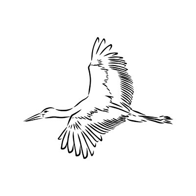 EPS 해외이미지 동물 손 디자인 실루엣 야생동물 백그라운드 날개 일러스트 자연 조류 바람 미술 그래픽 장식 물 유행 검은색 수확 흰색 비행 아기 신생아 낙서 큼 만화 스케치 왜가리 심볼 깃털 기중기 그림 복고 부리 윤곽 물새 고립 동물상 엘리먼트 스타일 해외일러스트 자연요소 컬러 농업 날씨 문화예술 촬영기법 사람 신체부위 조형물 중장비 크기 생태계 파일형식 벡터 이미지허브