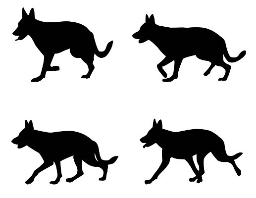 EPS 해외이미지 클립아트 모양 동물 디자인 실루엣 일러스트 그래픽 반려동물 달리기 산책 양치기 개 강아지 송곳니 기르기 엘리먼트 해외일러스트 직업 포유류 모션 휴식 촬영기법 치아 돌봄 파일형식 벡터 이미지허브