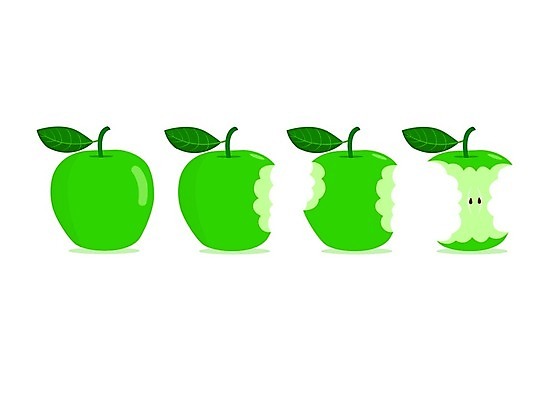 EPS 해외이미지 라이프스타일 음식 줄기 컨셉 잎 다이어트 과일 일러스트 자연 표시 건강 씨앗 초록색 세트 주스 무대 흰색 신선 선택 달콤 맛 사과 먹기 배고픔 심볼 사인 유기농 찌르기 토막 내추럴 고립 숙성 채식주의자 핵심 해외일러스트 식물 웰빙 음료 컬러 모션 생활 생태계 채식 파일형식 벡터 이미지허브