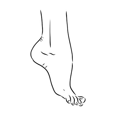 EPS 해외이미지 손 디자인 여자 남자 실루엣 선 포즈 백그라운드 2 신체 일러스트 손가락 맨발 발 함께함 건강 미술 사람 그래픽 검은색 흰색 못 스케치 심볼 피부 사인 그림 윤곽 발가락 발목 고립 돌봄 벌거벗은 양발 엘리먼트 해외일러스트 컬러 컨셉 모션 문화예술 촬영기법 신체부위 공구 파일형식 벡터 도구 이미지허브