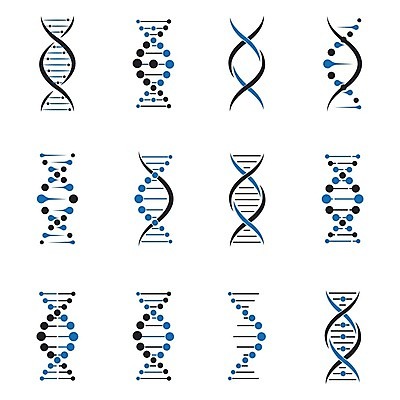EPS 해외이미지 일러스트 종류 사람없음 다양 DNA 생명공학 이중나선구조 해외일러스트 다수 의학 파일형식 벡터 이미지허브