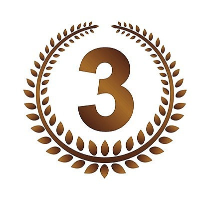 EPS 해외이미지 디자인 기념일 실루엣 잎 일러스트 성공 왕관 프레임 장식 세트 숫자 화환 경쟁 공백 코트 수확 나뭇가지 축하 원형 은색 상패 트로피 메달 심볼 배지 명예 고립 보증 승자 월계수 증명서 챔피언 필승 영광군 해외일러스트 도형 나무 식물 문자 꽃 컬러 컨셉 농업 촬영기법 이벤트 외투 우승 전라남도 상_우승 빚 상_상패 파일형식 벡터 이미지허브