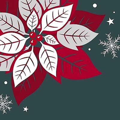 EPS 해외이미지 나무 식물 전통 디자인 배너 계절 열매 꽃 포스터 별 백그라운드 잎 크리스마스 겨울 일러스트 자연 벽지 휴가 새해 미술 그래픽 장식 빨간색 초록색 회색 덮개 흰색 축하 신용카드 눈송이 은색 12월 심볼 사인 내추럴 해외일러스트 자연요소 기념일 컬러 컨셉 문화예술 눈_날씨 금융 뚜껑 날짜 생태계 파일형식 벡터 이미지허브