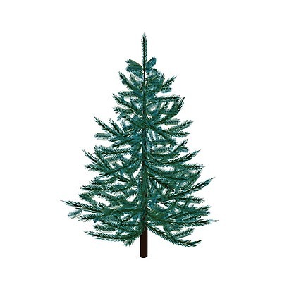 EPS 해외이미지 나무 식물 전통 디자인 실루엣 백그라운드 크리스마스 일러스트 자연 휴가 새로움 새해 기념 프레임 장식 파란색 장난감 축제 공백 나뭇가지 축하 인사 소나무 신용카드 떨어짐 연도 심볼 뼈대 상록수 침엽수 고립 가문비나무 현실 해외일러스트 기념일 컬러 컨셉 촬영기법 금융 예절 생태계 파일형식 벡터 이미지허브