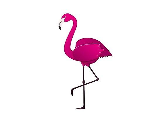 EPS 해외이미지 동물 1 디자인 실루엣 야생동물 분홍색 백그라운드 날개 일러스트 아프리카 자연 조류 수채화 동물원 서기 장식 빨간색 컬러풀 플랫 우아함 만화 날씬함 심볼 깃털 사인 싱글 부리 목 내추럴 고립 동물상 양발 엘리먼트 이국적 해외일러스트 나라 컬러 컨셉 모션 촬영기법 신체부위 조형물 몸매 생태계 파일형식 벡터 이미지허브