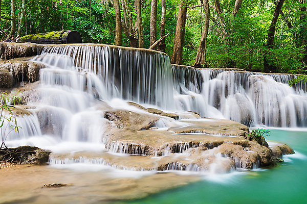 포토 JPG 해외이미지 나무 식물 공원 여행 백그라운드 잎 모션 태국 자연 휴식 풍경 사람없음 목재 초록색 물 강 놀람 봄 폭포 흐름 가을 신선 개울 숲 시원함 순수 즐거움 내추럴 해외포토 자연요소 계절 공공시설 감정 아시아 컬러 컨셉 재료 표정 생태계 파일형식 이미지허브