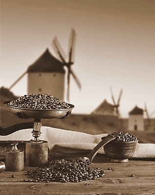 포토 JPG 해외이미지 사람없음 카페 해외포토 상점 파일형식 이미지허브