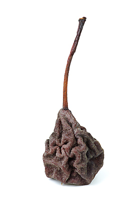 포토 JPG 해외이미지 1 음식 백그라운드 과일 건조 건강 사람없음 갈색 흰색 싱글 시들음 훈제 고립 채식주의자 해외포토 컬러 채식 파일형식 이미지허브