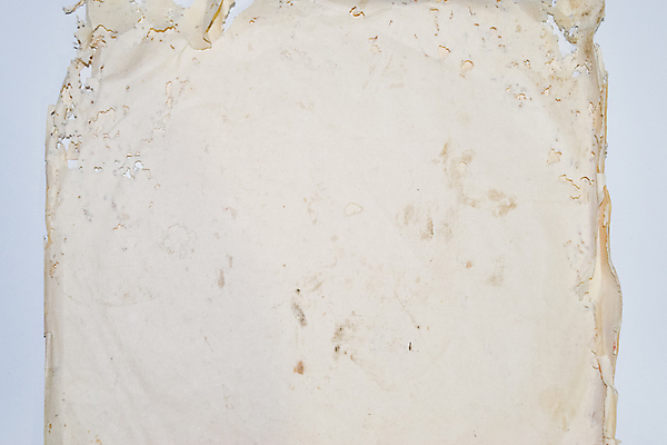 포토 JPG 해외이미지 동물 옷 종이 벽 곤충 백그라운드 절지류 생물 수염 주택 사람없음 목재 책 카펫 회색 흰색 확대 해충 벌레 은색 작음 자르기 묘사 꼬리 수유 옛날 접착제 해외포토 나무 컬러 재료 모션 건물 풀_접착제 크기 파일형식 이미지허브