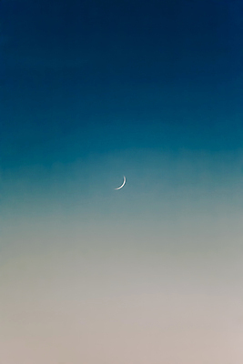 포토 JPG 해외이미지 나무 실루엣 오렌지 하늘 경사 사람없음 파란색 일몰 달 야간 초승달 해외포토 자연요소 식물 컬러 과일 촬영기법 노을 파일형식 이미지허브