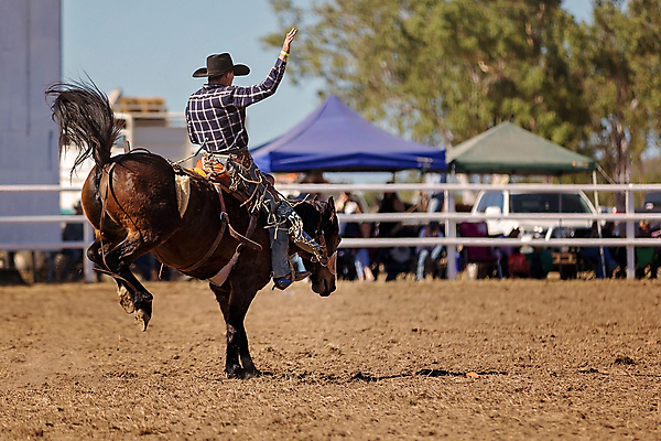 포토 JPG 해외이미지 동물 남자 밧줄 스포츠 포즈 모션 부츠 이벤트 사람없음 달러 점프 가축 경쟁 경기장 공연 시골 자신감 거친 승마 카우보이 호주 승차 주식 위험 속도 먼지 안장 로데오 라이더 서쪽 어려움 오지 해외포토 감정 줄 신발 컨셉 돈 스포츠시설 사람 금융 오세아니아 방향 파일형식 이미지허브