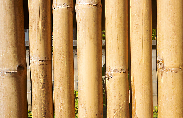 포토 JPG 해외이미지 나무 식물 선 벽 줄기 백그라운드 패턴 자연 표면 프레임 따뜻함 사람없음 목재 장식 세로 여름 울타리 평화 정원 일본 맑음 중국 나뭇가지 시골 기둥 막대기 대나무 유기농 질감 심플 지역 튜브 내추럴 그런지 직진 핵심 규칙적 해외포토 웰빙 계절 건축 아시아 컨셉 무늬 재료 날씨 담장 생태계 파일형식 이미지허브