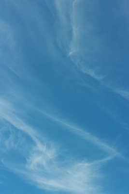 포토 JPG 해외이미지 구름 하늘색 자연 벽지 하늘 바람 날씨 추상 사람없음 야외 공중 파란색 빛 우주 환경 침묵 활발 자유 흰색 물방울 오픈 분위기 매끈함 질감 장면 부드러움 천국 솜털 스카이라인 흐림 내추럴 오존 부족함 해외포토 자연요소 컬러 컨셉 무늬 소리 감각 생태계 파일형식 이미지허브