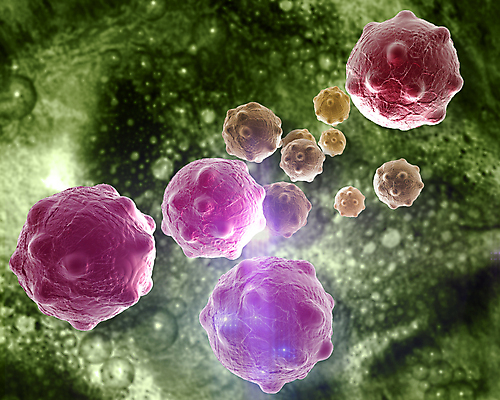 포토 JPG 해외이미지 의학 세포 사람없음 초록색 3D 질병 디지털합성 암 종양 해외포토 컬러 파일형식 이미지허브