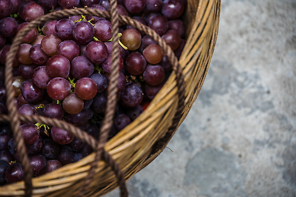 포토 JPG 해외이미지 식물 열매 음식 백그라운드 잎 농업 다이어트 과일 재료 자연 포도 건강 사람없음 빨간색 세로 초록색 여름 바구니 와인 수확 가을 흰색 신선 닫기 달콤 맛 다발 먹기 유기농 날것 슛 포도밭 포도나무 고립 땅바닥 숙성 양조장 채식주의자 해외포토 웰빙 계절 산업 컬러 컨셉 밭 모션 바닥 주류 과일나무 생태계 채식 파일형식 이미지허브