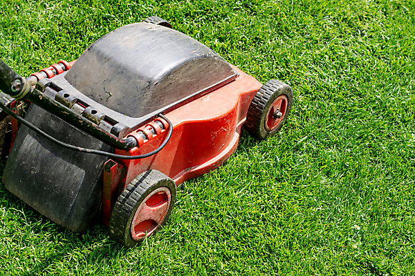 포토 JPG 해외이미지 공원 자연 잔디 사람없음 야외 빨간색 초록색 정원 기계 봄 장비 공구 업무 바퀴 자르기 에코 원예 엔진 모터 다듬기 돌봄 땅바닥 커터 해외포토 식물 계절 공공시설 컬러 모션 바닥 취미 환경 도구 작업 생태계 파일형식 이미지허브