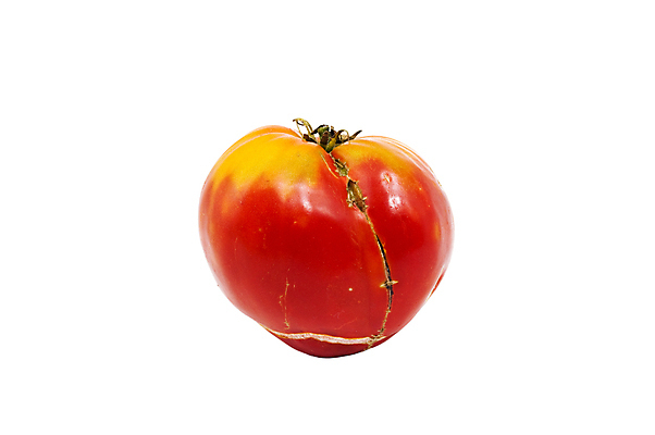 포토 JPG 해외이미지 식물 1 음식 백그라운드 농업 토마토 채소 재료 건강 사람없음 빨간색 초록색 흰색 신선 원형 떨어짐 케첩 먹기 오브젝트 싱글 유기농 내추럴 고립 숙성 채식주의자 해외포토 도형 웰빙 산업 컬러 컨셉 모션 소스_음식 채식 파일형식 이미지허브