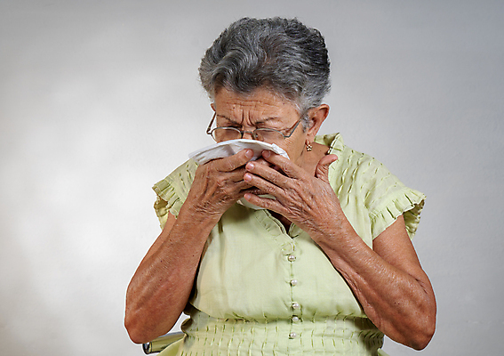 포토 JPG 해외이미지 라이프스타일 할머니 관계 건강 사랑 한명 사람 성인 고통 백발 아내 호흡기관 바이러스 호흡 보호 질병 은퇴 예방 번짐 기침 옛날 위생관리 인플루엔자 재채기 전염병 해외포토 1 헤어스타일 여자 노년 감정 컨셉 의학 관리 생활 장기_의학 파일형식 효과 이미지허브