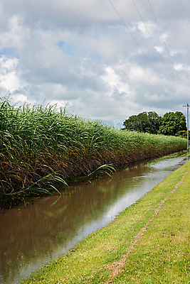 포토 JPG 해외이미지 계절 산업 밭 농업 지팡이 날씨 사람없음 물 농작물 글로벌 농장 젖음 분위기 변화 호주 농부 땅 설탕 홍수 생태계 폭풍 무거움 거짓말 방목장 영양소 채널 침몰 폭풍우 해외포토 자연요소 직업 컨셉 비_날씨 오세아니아 무게 자연재해 파일형식 이미지허브