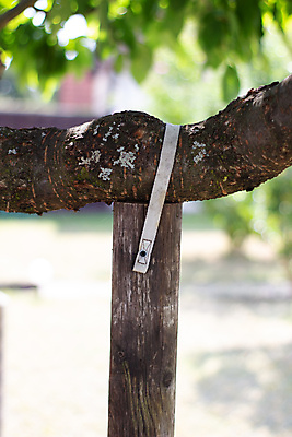 포토 JPG 해외이미지 나무 식물 계절 공원 꽃 아시아 여행 백그라운드 컨셉 잎 밭 농업 자연 하늘 한국 동양인 풍경 사람없음 야외 목재 초록색 여름 파란색 농장 환경 정원 봄 흰색 나뭇가지 시골 신선 막대기 무거움 남쪽 내추럴 생태학 지원 필요 해외포토 공공시설 교육 나라 산업 컬러 재료 인종 무게 방향 생태계 파일형식 이미지허브