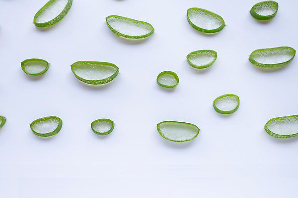 포토 JPG 해외이미지 스튜디오촬영 단면 실내 사람없음 하이앵글 흰배경 알로에 해외포토 식물 뷰포인트 백그라운드 내부 흰색 파일형식 이미지허브