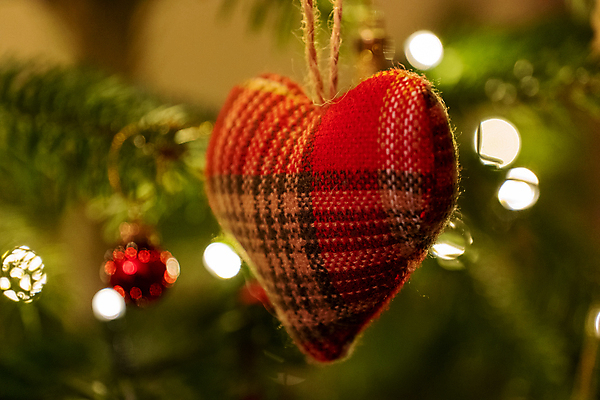 포토 JPG 해외이미지 모양 나무 전통 계절 행복 별 종교 크리스마스 겨울 가족 휴가 전등 주택 매달리기 선물 사랑 사람없음 장식 빨간색 빛 산타클로스 파티 축제 화환 기쁨 장식볼 흰색 나뭇가지 하트 시골 예수 니트 양모 노엘 핸드메이드 클라우스 해외포토 자연요소 식물 기념일 꽃 감정 컬러 상의 관계 모션 조명 이벤트 건물 직물 신_종교 파일형식 이미지허브