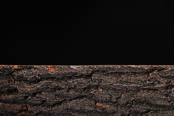 포토 JPG 해외이미지 나무 백그라운드 십자가 패턴 부분 자연 표면 추상 사람없음 목재 갈색 우주 검은색 시골 거친 횡단보도 발사 자르기 묘사 질감 통나무 나무껍질 잡동사니 내추럴 고립 수목 옛날 톱질 해외포토 식물 컬러 무늬 재료 모션 껍질 보행로 생태계 파일형식 이미지허브