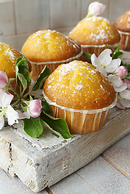 포토 JPG 해외이미지 꽃 음식 신체 휴가 휴식 디저트 부활절 건강 사람없음 목재 장식 세로 여름 빛 파티 케이크 맑음 봄 빵집 흰색 시골 축하 신선 생일 달콤 맛 아침식사 사과 설탕 컵케이크 굽기 먹기 머핀 수선화 러시아인 페스츄리 핸드메이드 해외포토 서양인 나무 식물 계절 기념일 빵 컬러 컨셉 과일 재료 모션 날씨 이벤트 상점 식사 구이 파일형식 이미지허브