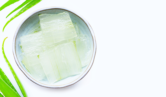 포토 JPG 해외이미지 스튜디오촬영 실내 사람없음 사기그릇 흰배경 알로에 해외포토 식물 그릇 백그라운드 내부 흰색 파일형식 이미지허브