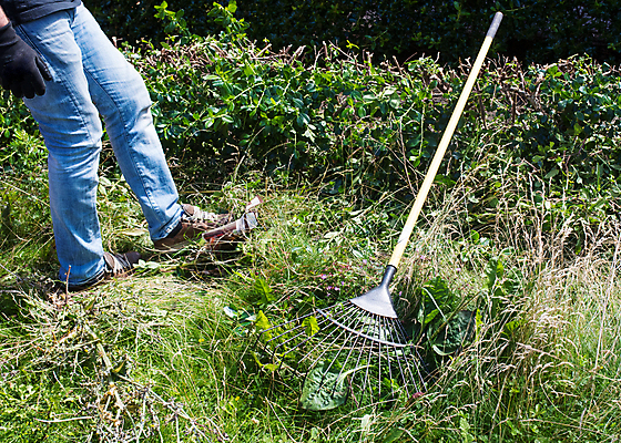 포토 JPG 해외이미지 나무 식물 남자 꽃 밭 농업 자연 노동자 사람 사람없음 야외 초록색 농장 정원 업무 작업 농부 숲 자르기 원예 다듬기 원예사 전기톱 해외포토 직업 산업 컬러 모션 취미 생태계 톱 파일형식 이미지허브