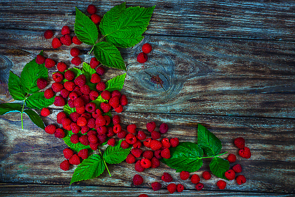 포토 JPG 해외이미지 모양 식물 열매 음식 백그라운드 잎 다이어트 과일 재료 자연 디저트 건강 사람없음 목재 가로 빨간색 초록색 컬러풀 활발 신선 그룹 사발 닫기 달콤 맛 먹기 유기농 질감 날것 산딸기 내추럴 숙성 채식주의자 카피스페이스 디톡스 비건 해외포토 나무 웰빙 컬러 컨셉 모션 공백 사기그릇 생태계 채식 파일형식 이미지허브