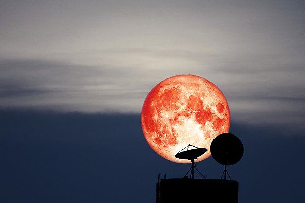 포토 JPG 해외이미지 나무 식물 구름 접시 실루엣 선 백그라운드 자연 하늘 산 어류 사람없음 빨간색 빛 우주 정원 계란 침묵 황혼 새벽 인공위성 껍질 달 혈액 벌레 야간 저녁 숲 기아 가득함 까마귀 늑대 해외포토 자연요소 식기 컬러 곤충 통신 포유류 조류 촬영기법 알 수중동물 소리 일몰 사회이슈 생태계 파일형식 이미지허브