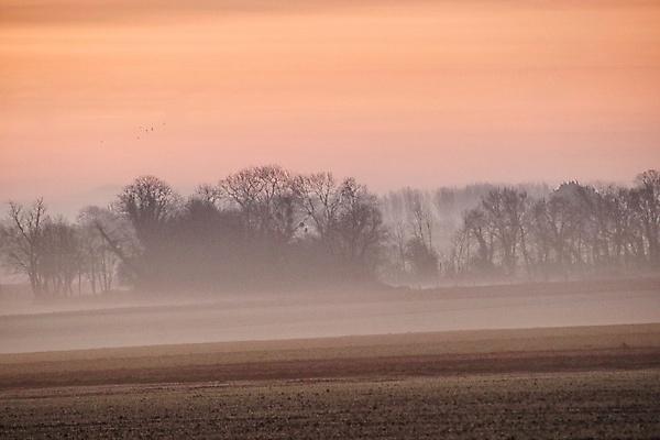 포토 JPG 해외이미지 겨울 자연 사람없음 안개 시골 해외포토 계절 날씨 생태계 파일형식 이미지허브